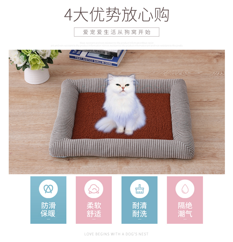 年入千万美金！ 小众宠物用品在海外爆火出圈！ 品牌出海(图1)