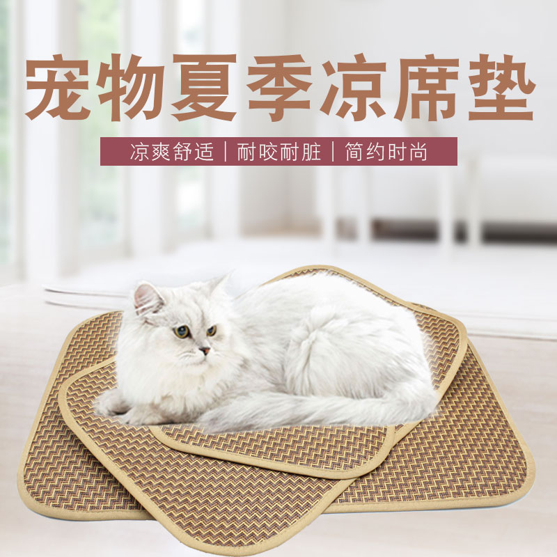 天元宠物获4家机构调研：公司已在优质客户资源、供应链管理体系、多品类产品开发、用品食品协同销售等方面建立了持续竞争优势形成了公司的核心竞争力（附调研问答）(图1)