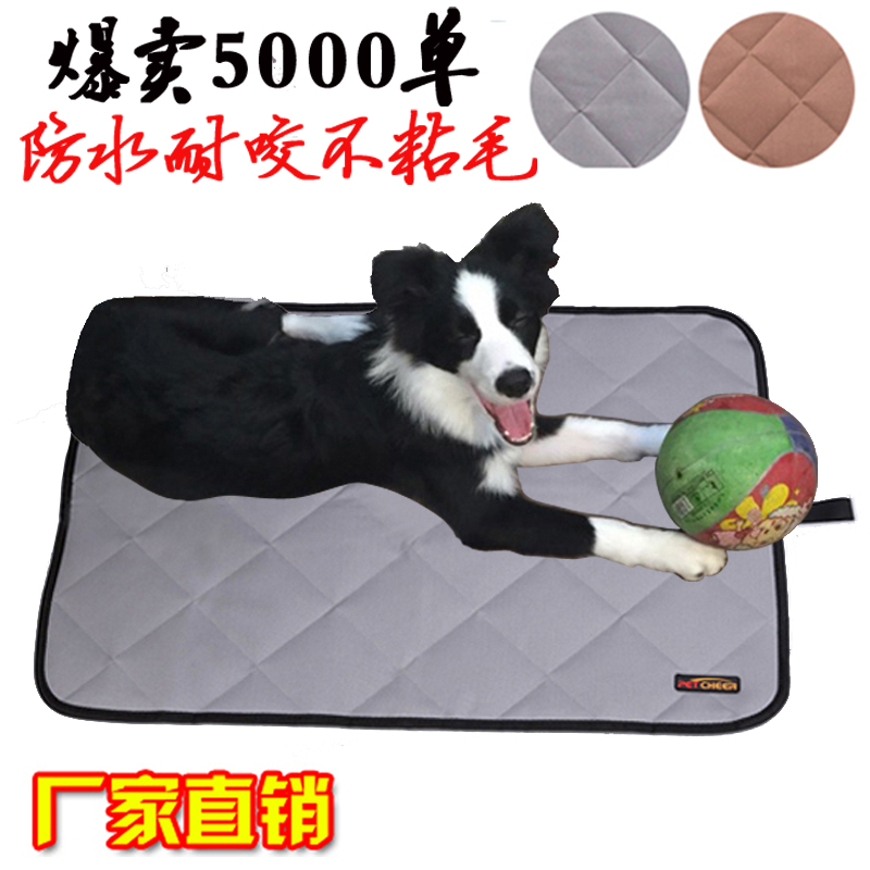 业主投诉小区宠物殡葬店：邻避事件背后的文化心理丨快评(图1)
