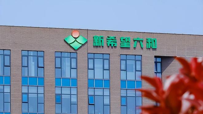 每年1月必炒业绩报这5大方向连跌1年业绩有望大增迎来炒作(图8)