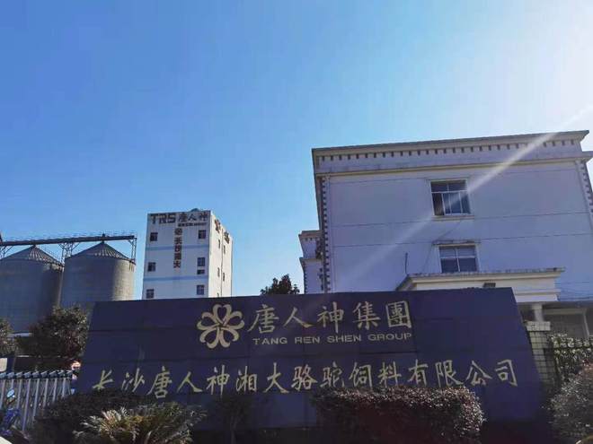 每年1月必炒业绩报这5大方向连跌1年业绩有望大增迎来炒作(图5)
