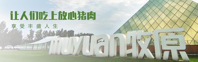 每年1月必炒业绩报这5大方向连跌1年业绩有望大增迎来炒作(图6)