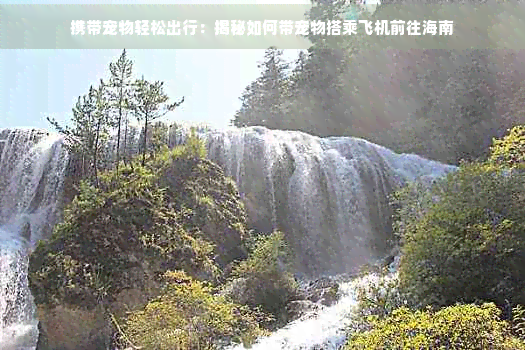 携带宠物轻松出行：揭秘如何带宠物搭乘飞机前往海南(图1)