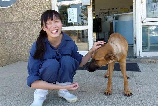 兽医将安乐死的针头扎向了自己理由竟是看太多宠物生死穷人救不了富人不想救(图10)