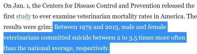 兽医将安乐死的针头扎向了自己理由竟是看太多宠物生死穷人救不了富人不想救(图15)