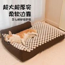“信阳猫车”事件：一场人与动物“阿勒泰式”的救赎(图1)