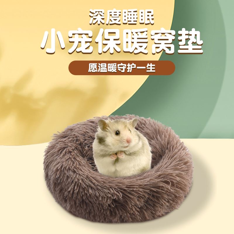 申观察｜警报！一种南美“巨型老鼠”在上海郊区扩散呼唤防控措施(图1)