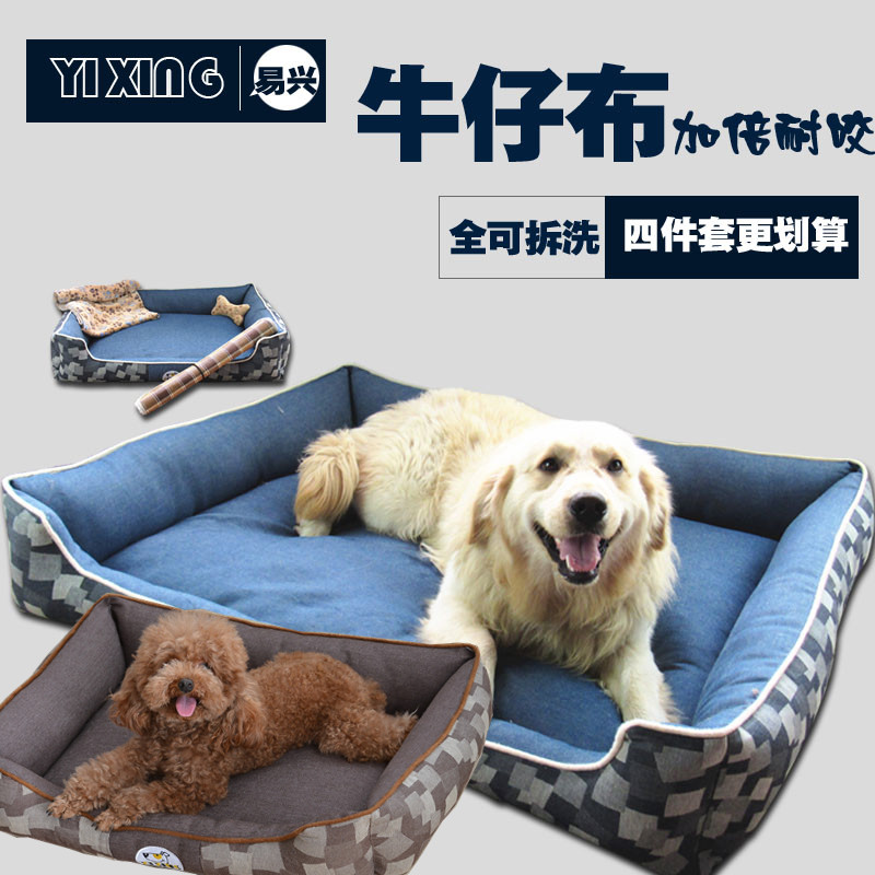 双氧水的三大神奇用途：宠物猫狗家庭必备的科学养宠技巧(图1)