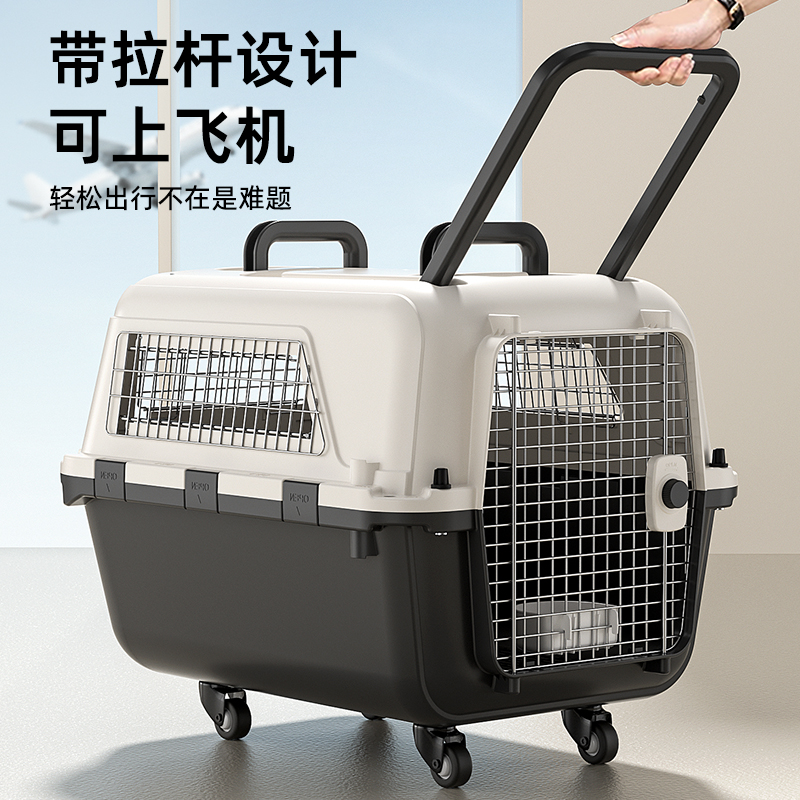 色胆包天？日本恐怖游戏新作让你治愈胆小与涩涩的两难选择！(图1)