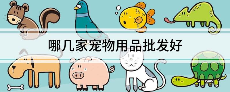 哪几家宠物用品批发好(图1)