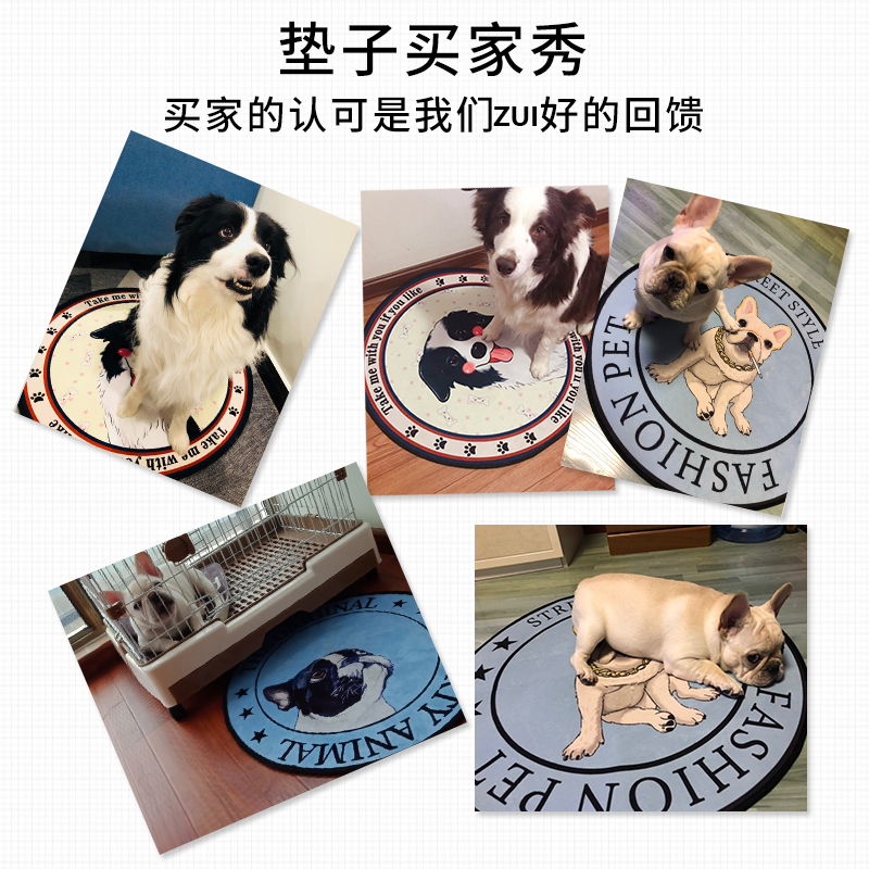浙江省磐安工友宠物用品厂(图1)
