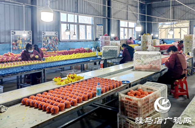 驿城区老河乡石古庄村：小玩具撬动大产业 乡村工厂托起稳稳幸福(图1)