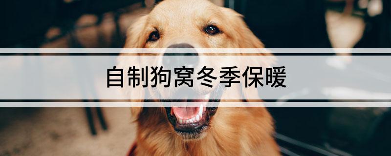 自制狗窝冬季保暖(图1)