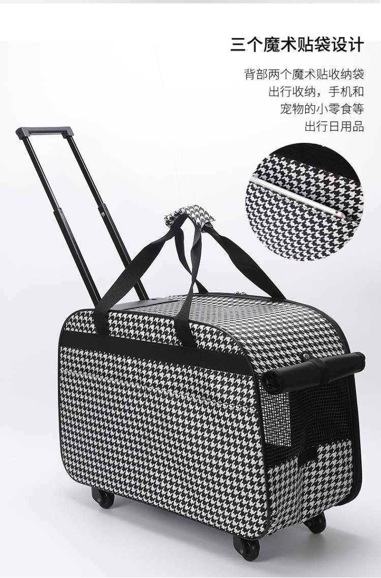 安全气囊材质宠物包：如何中国设计征服德国iF设计大奖？(图1)