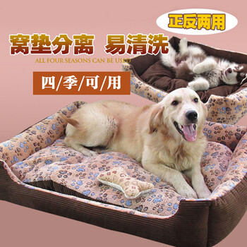 网络热词xaxwaswasjalapkino解析你不知道的隐藏含义(图1)